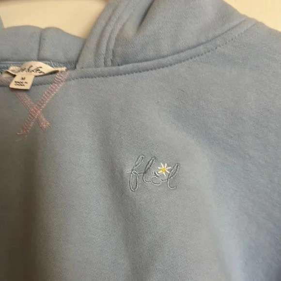 For Love & Lemons Light Blue Cropped Hoodie - Picture 3 of 5